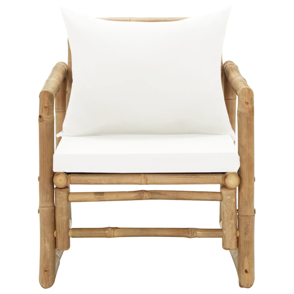 garden chairs, 2 pieces, with cushions and pillows