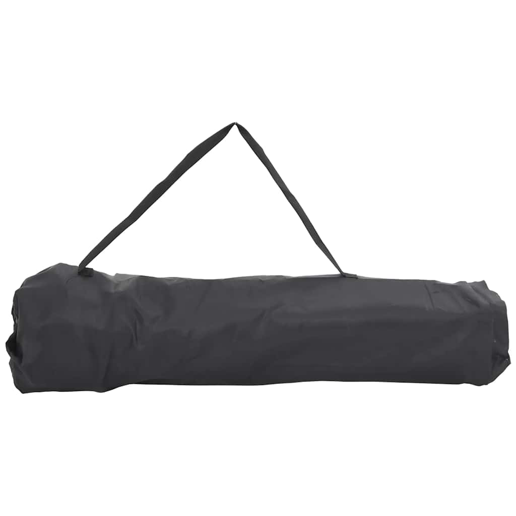 Camping Chairs 2 pcs with Bag Foldable