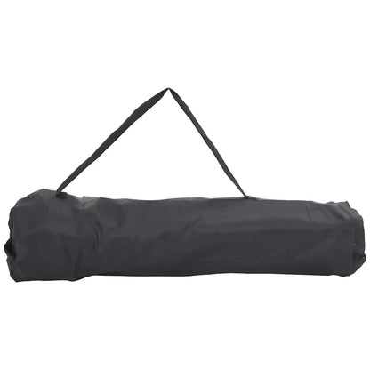 Camping Chairs 2 pcs with Bag Foldable